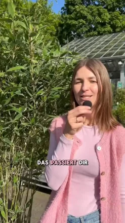 Dehner Bambus|Xxl-Gartenpflanzen > XXL Drachenschuppenbambus 'Blue Lizard®'