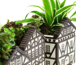 Dehner Zimmerpflanzen-Sets|Zimmerpflanzen Mit Übertopf > Zimmerpflanzen-Set Fachwerk, 3-teilig