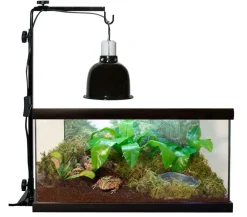 ZooMed Terrarientechnik - Zoo Med Mini Deep Dome Lampenfassung