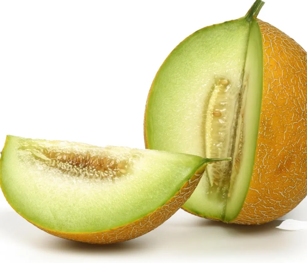 Dehner Weinreben & Gartenobst|Melonen- & Kürbispflanzen - Zuckermelone 'Galia'